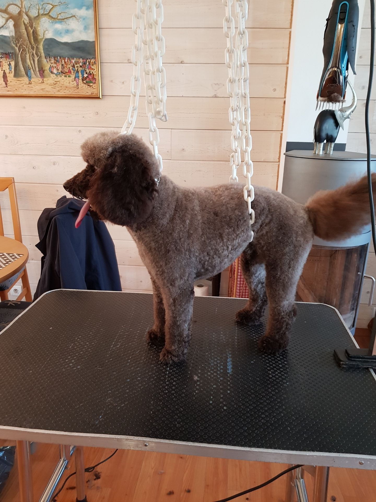 galerie image galerie image