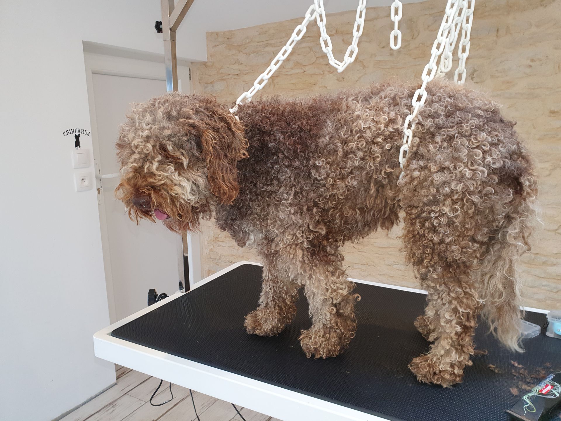 galerie image galerie image