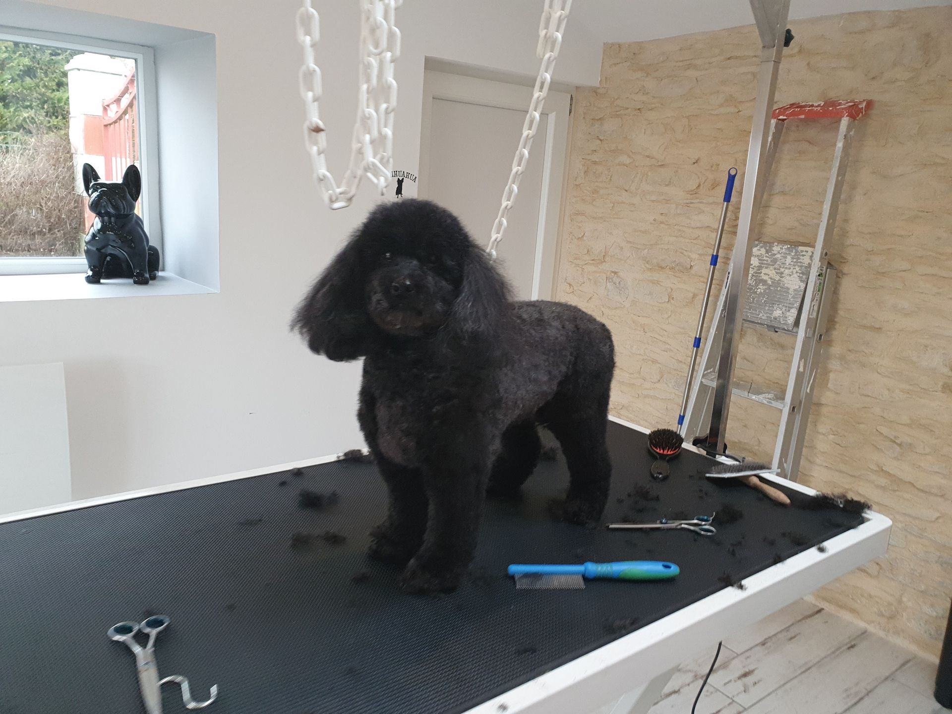 galerie image galerie image