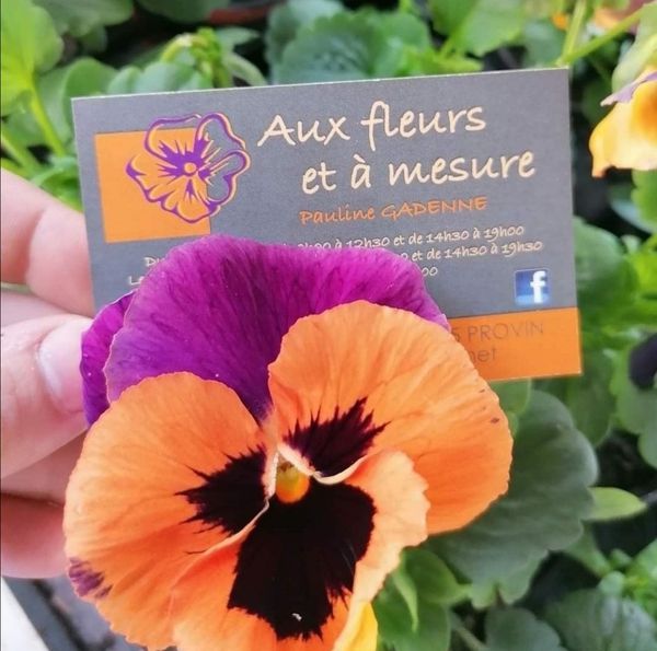 Aux Fleurs Et A Mesure