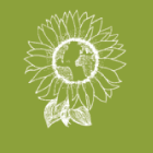 Art'Stella Alimentation