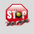 Leforestier Philippe Autres services