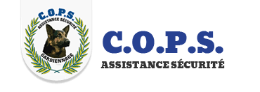 C.O.P.S Centre Orléanais Protection Sécurité enquête et sécurité