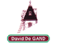 De Gand David Expert