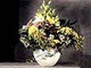 Au Rallye Floral Autres services