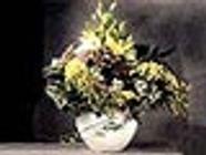 Au Rallye Floral Autres services