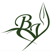 Bailly Espaces Verts Expert