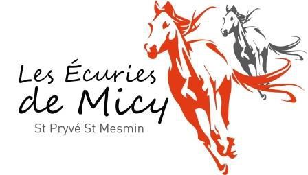 Les Ecuries de Micy centre équestre, équitation