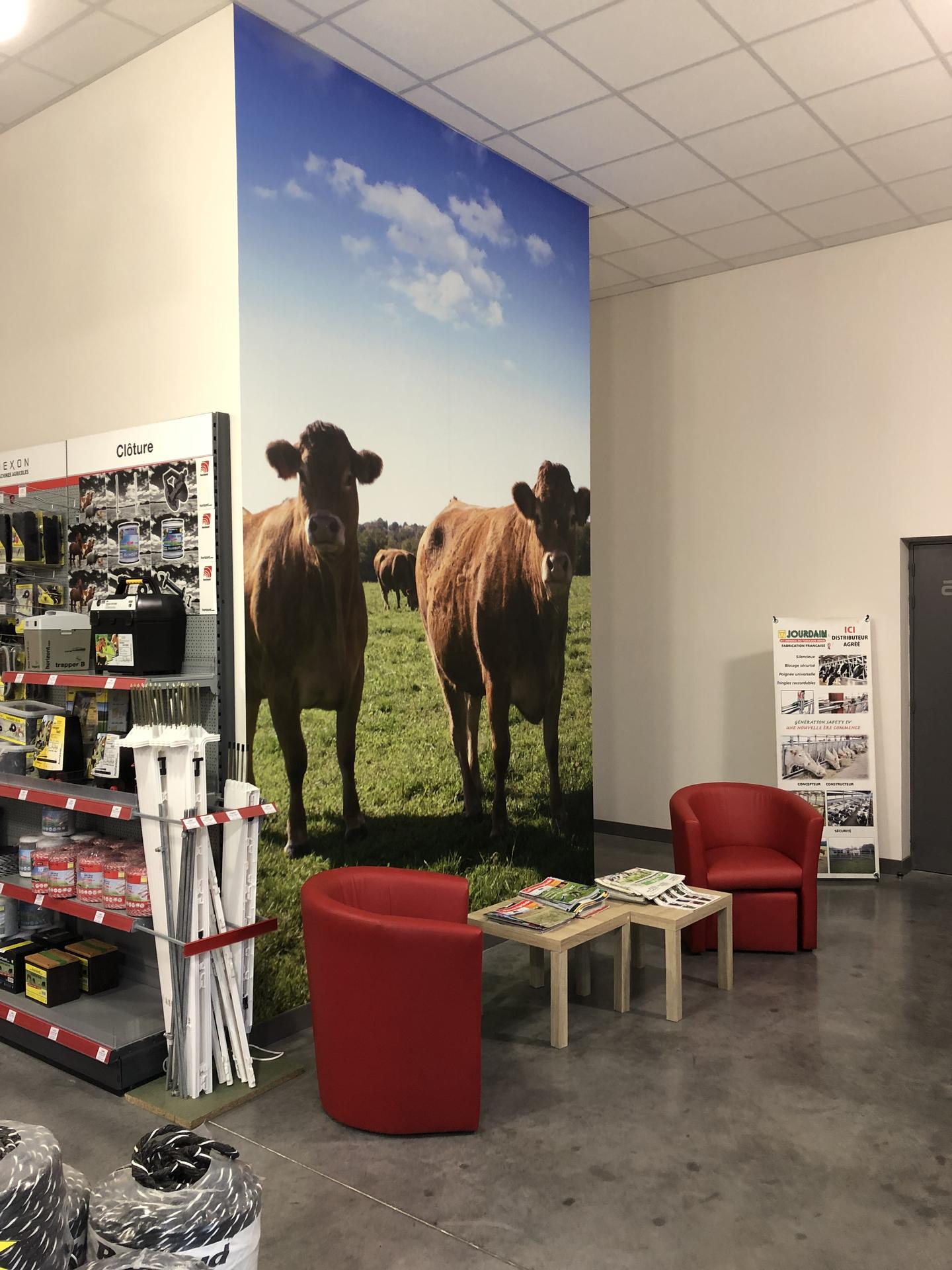 galerie image galerie image
