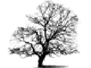 Arbres et Jardins travaux agricoles