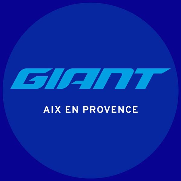Giant réparation et restauration (objets divers)