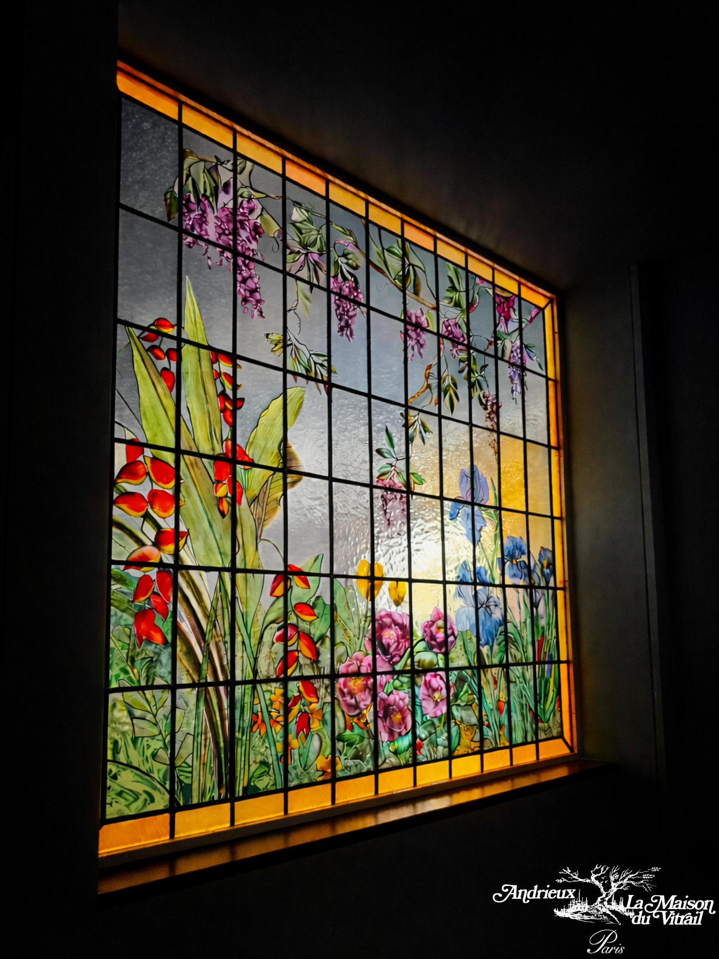 galerie image galerie image