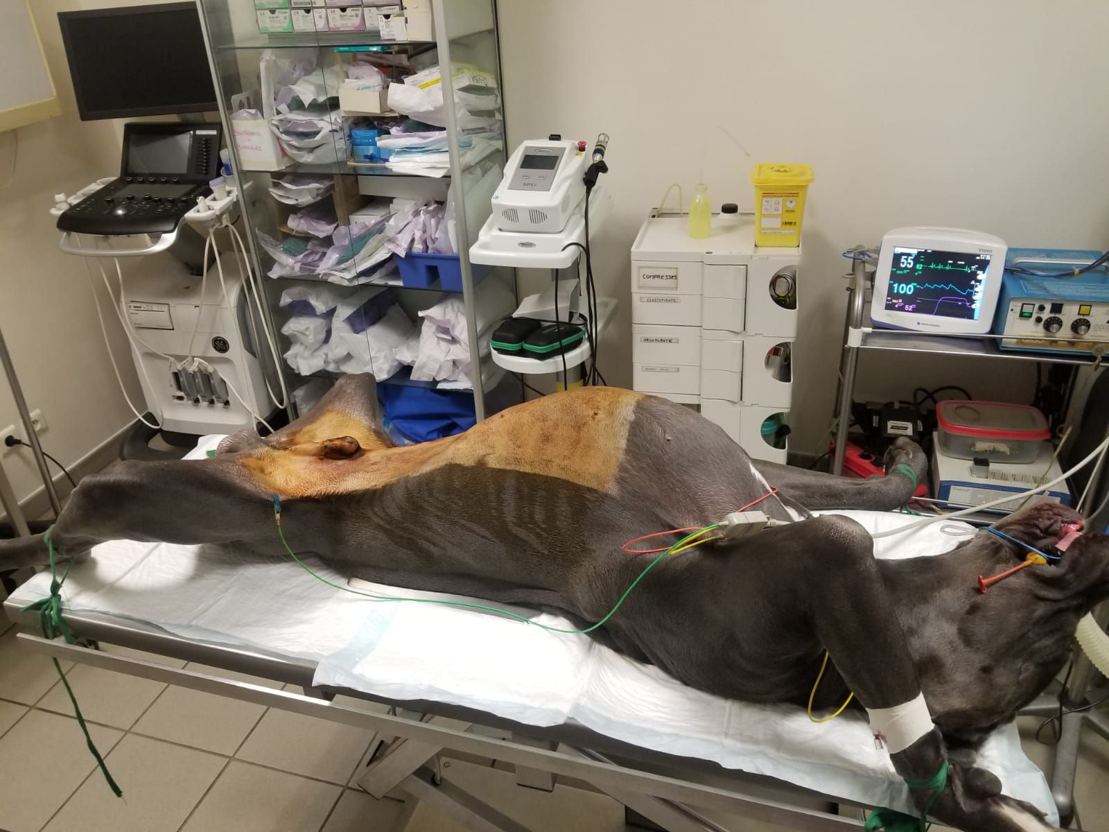 galerie image galerie image