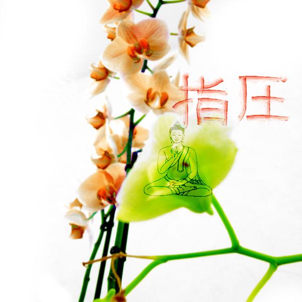 Institut Chambala Massages club de forme