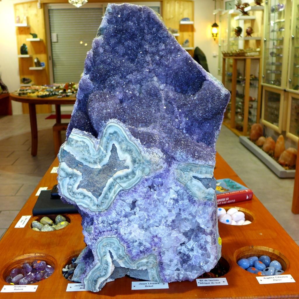 galerie image