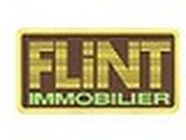 Flint Immobilier conseil en immobilier d'entreprise