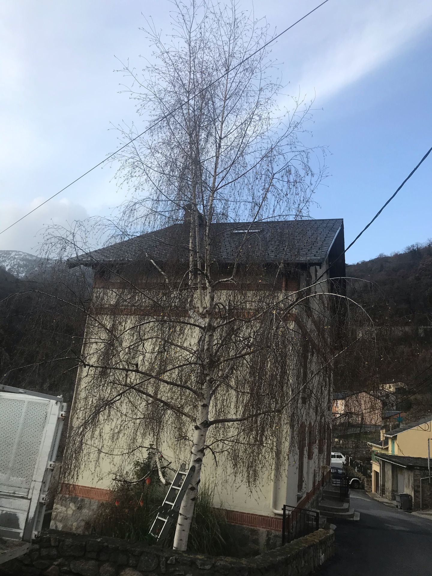 galerie image galerie image