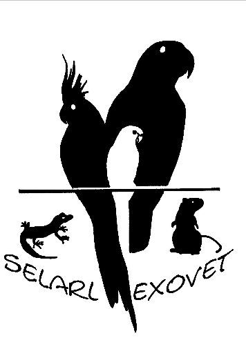 Clinique Vétérinaire Exovet clinique vétérinaire