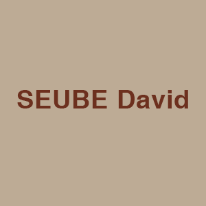 Seube David Expert