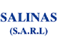 Salinas SARL Expert