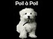 Poil A Poil