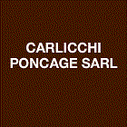 Carlicchi Ponçage Autres services