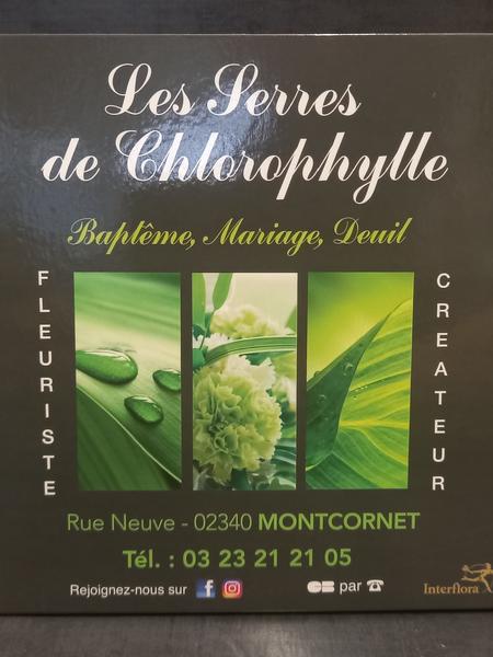 Chlorophylle