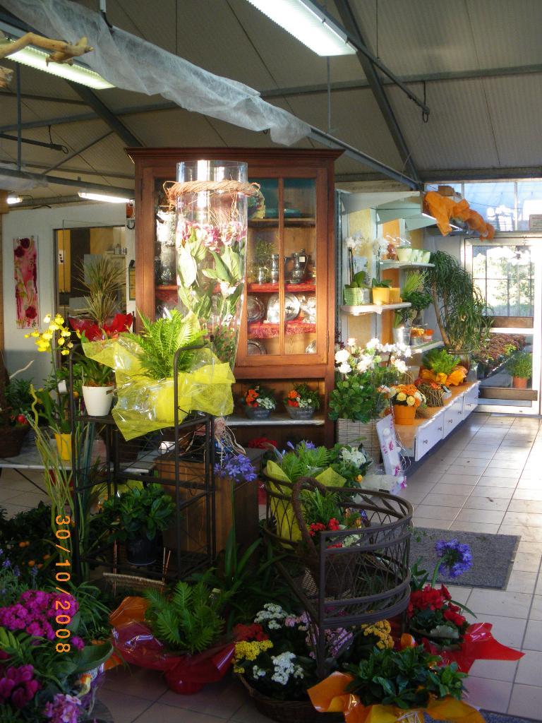 galerie image
