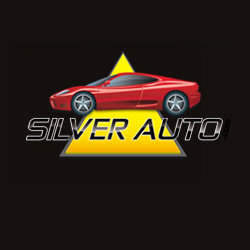 Silver Auto Expert