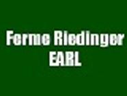 Ferme Riedinger Agriculture