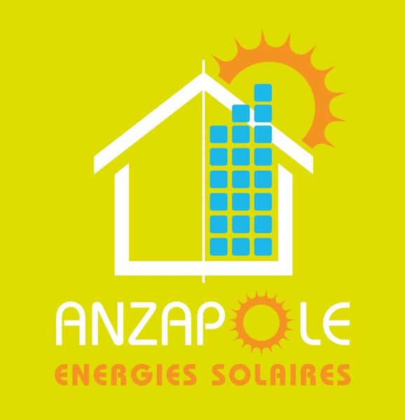 Anzalone Serge organisation internationale