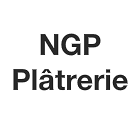 N G P Expert