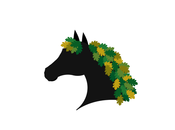 Haras du Chêne Expert