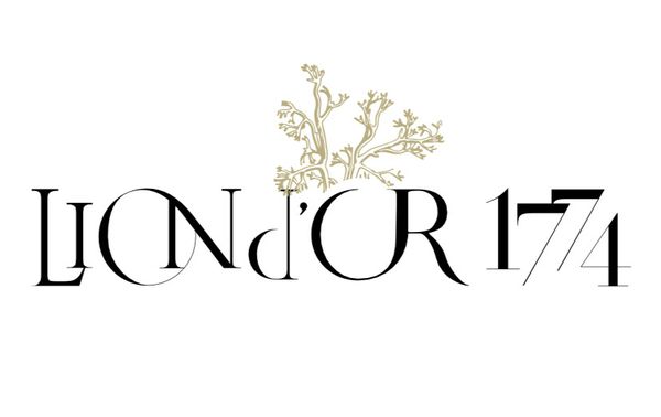 Grand Hôtel du Lion D'Or