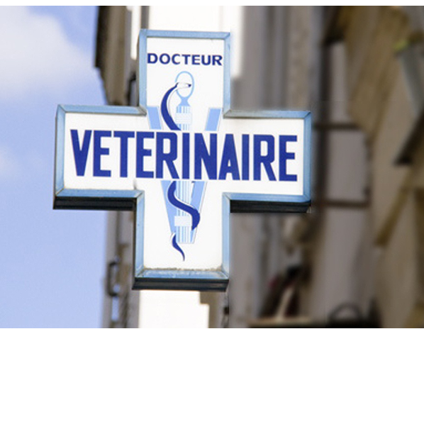 Clinique Vétérinaire Vet'Estey du Porge