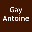 Gay Antoine Expert