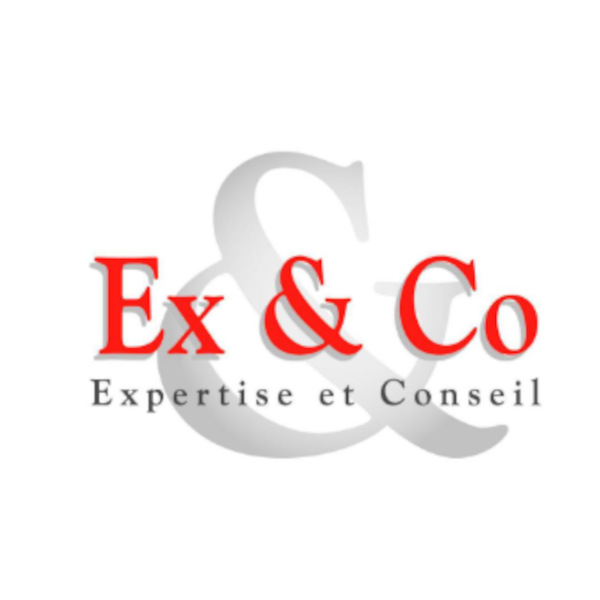 Ex & Co KWK commissaire aux comptes