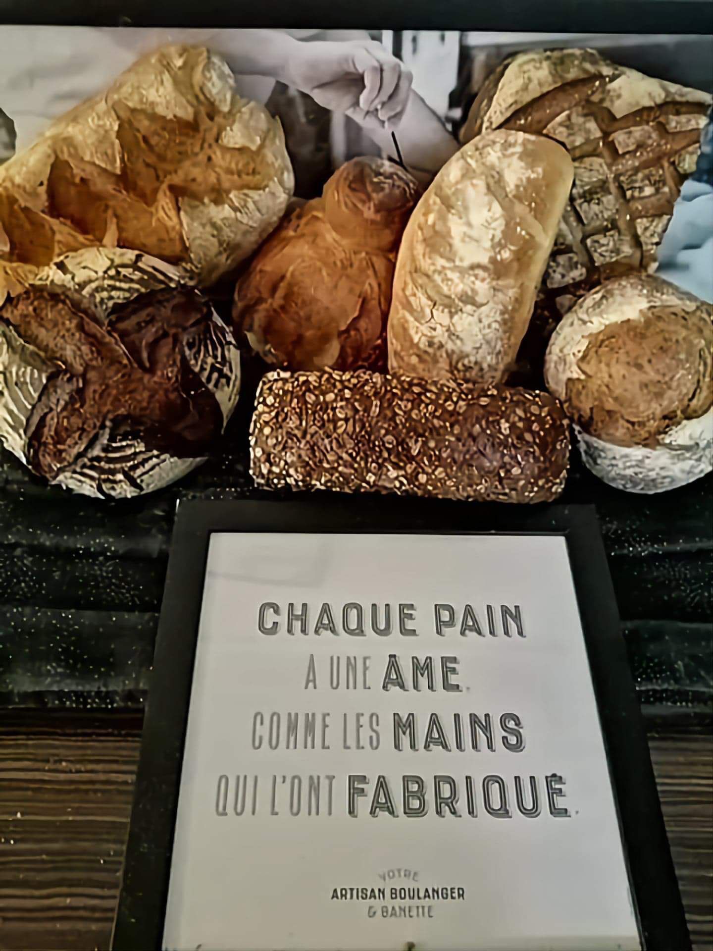 galerie image