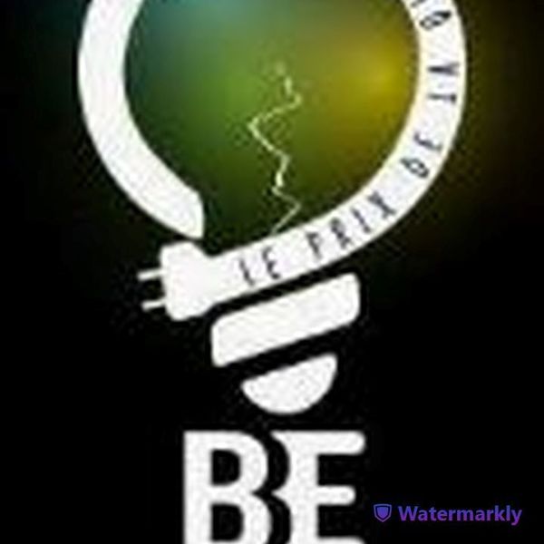 Bearn Electricite EURL électricité (production, distribution, fournitures)
