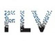 Fondation Louis Vuitton musée