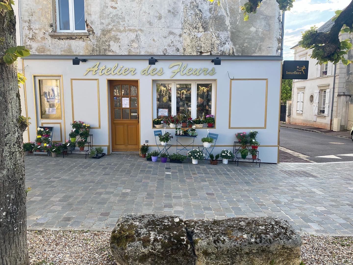 galerie image galerie image