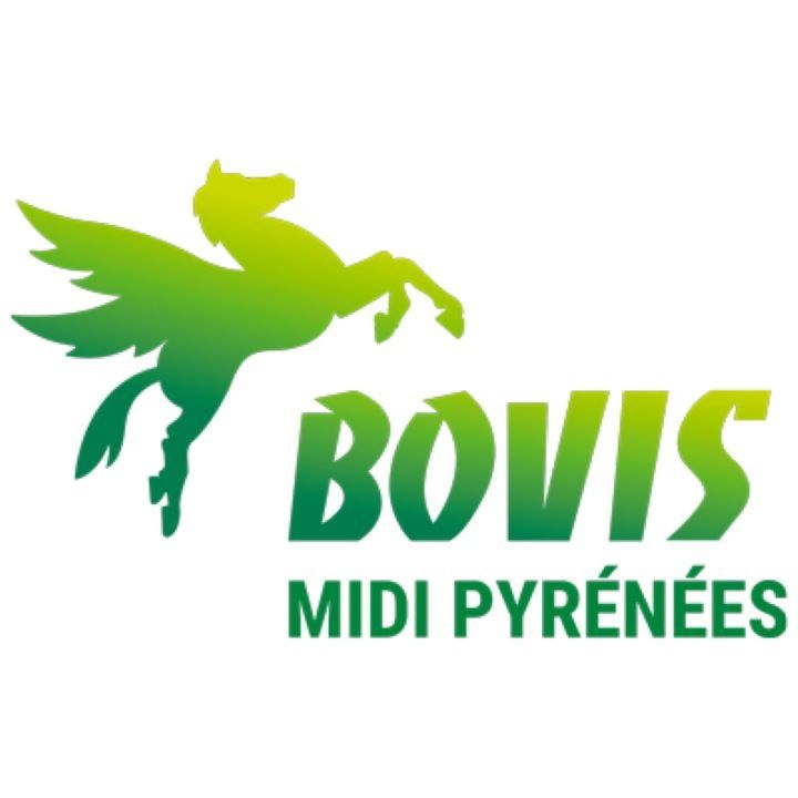 BOVIS MIDI PYRÉNÉES Expert