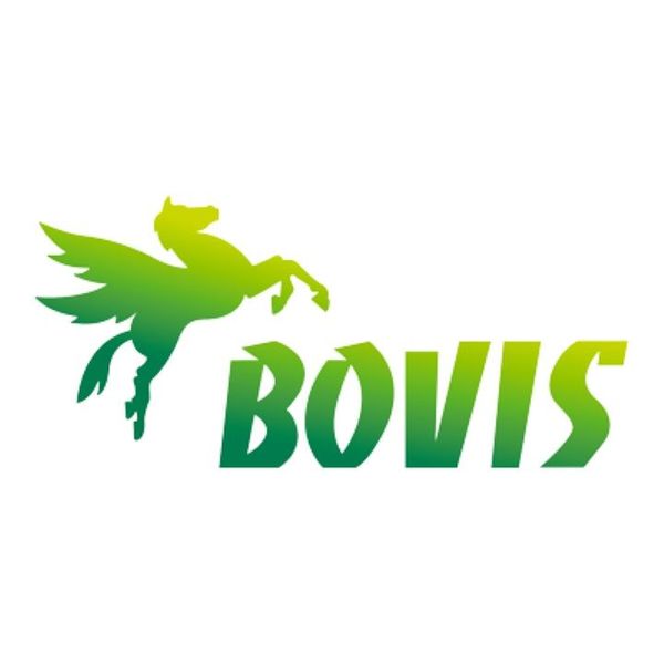 BOVIS SAINT-WITZ Autres services