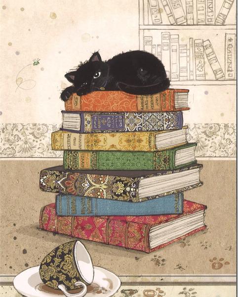 LIBRAIRIE PAPETERIE PRESSE DAVID entrepôt et magasin général