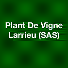 PLANT DE VIGNE LARRIEU jardinerie, végétaux et article de jardin (détail)