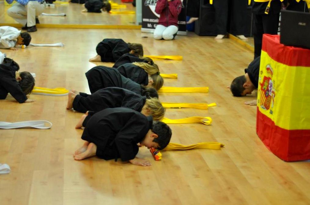 Galería en miniatura