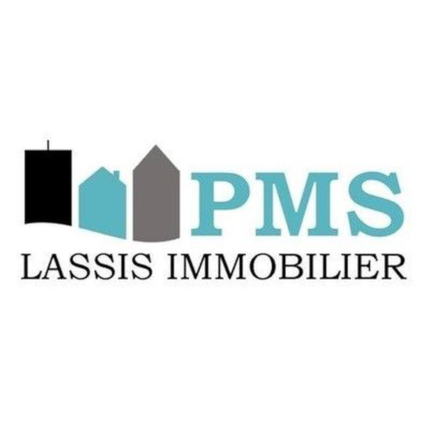 Lassis Immobilier expert en immobilier