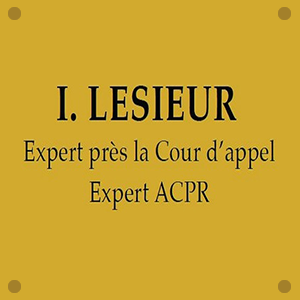 Lesieur Expertise expert en immobilier
