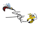 Sud Ouest Frelons service pour animaux