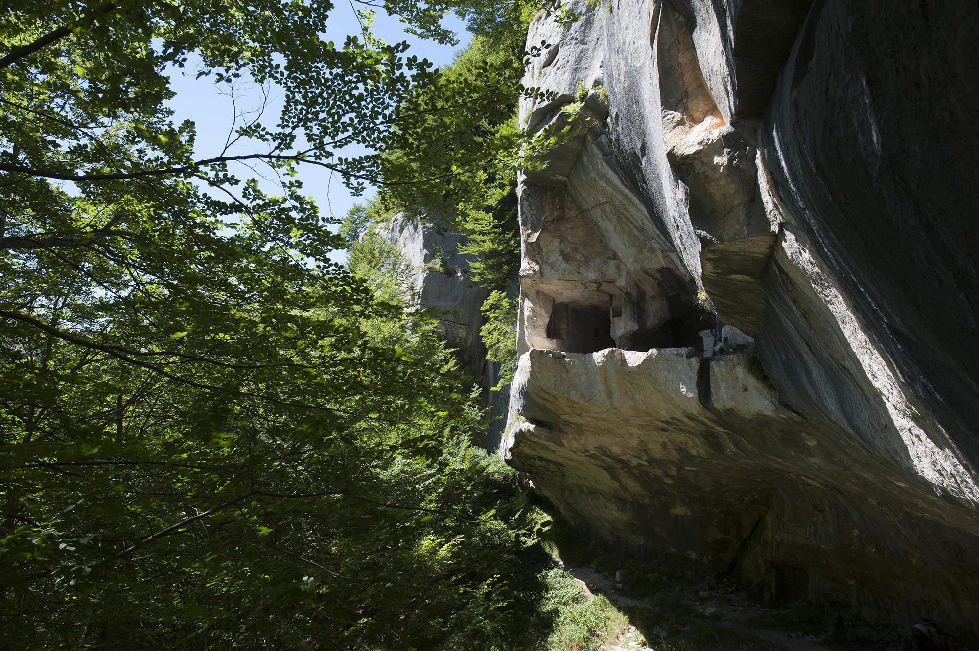 Gallery thumbnail